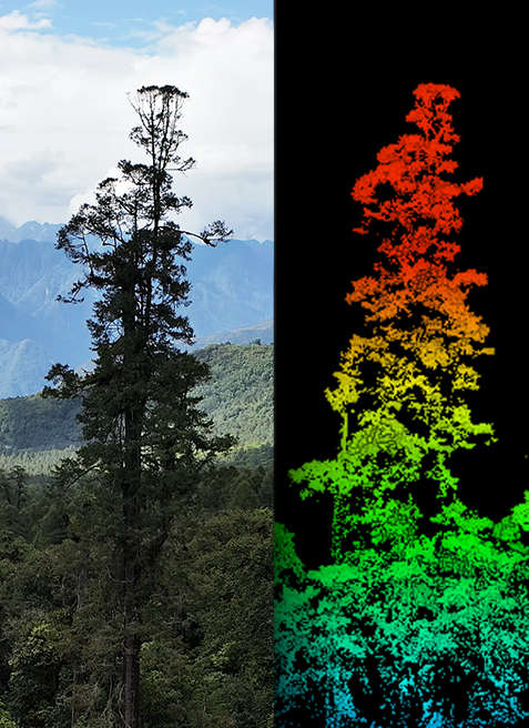 1652684700122894.png 圖片15.png