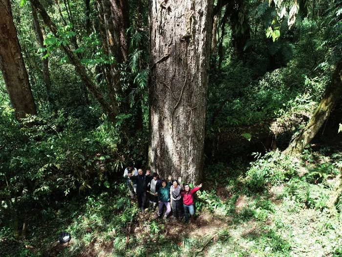 1652684852800520.png 圖片16.png