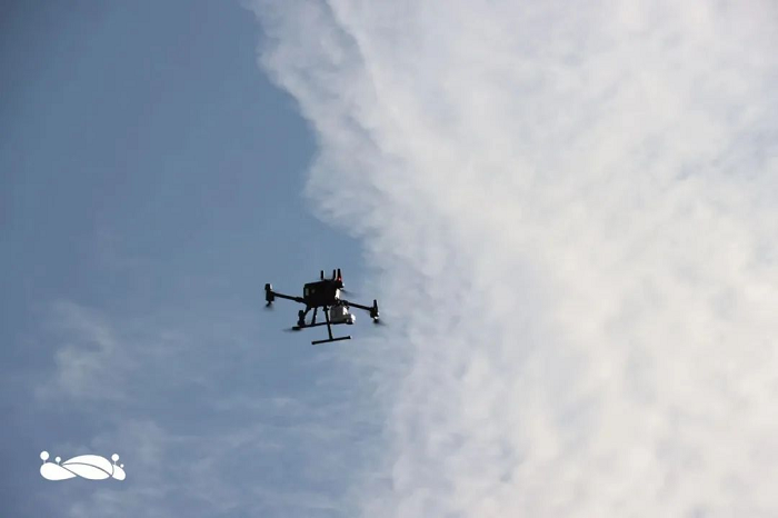 1652684866283192.png 圖片17.png