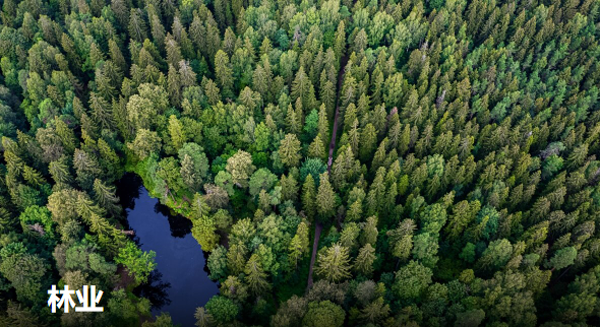 1697009281668025.png 圖片23.png